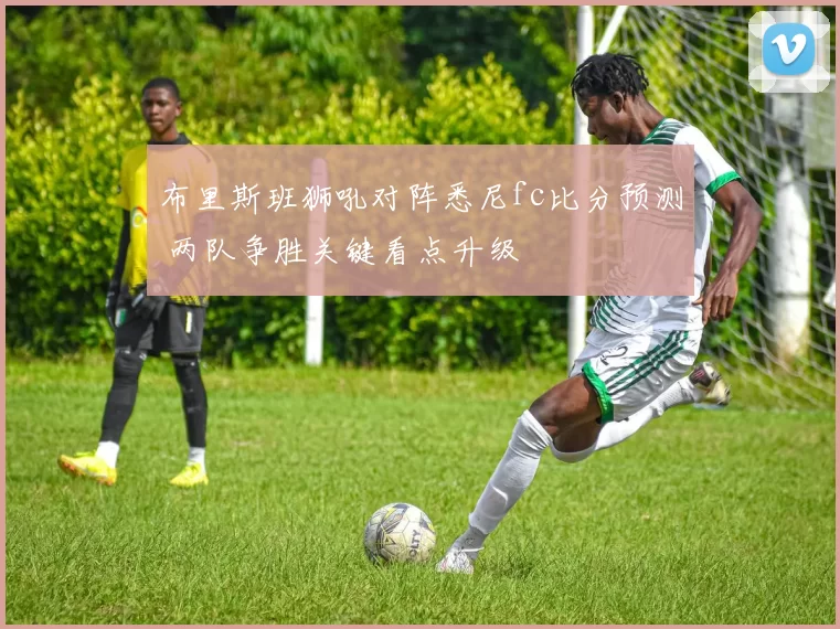 布里斯班狮吼对阵悉尼fc比分预测 两队争胜关键看点升级