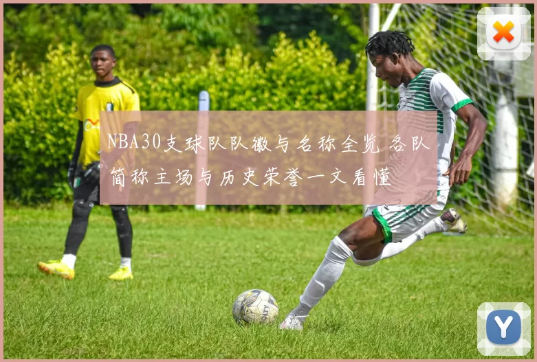 NBA30支球队队徽与名称全览 各队简称主场与历史荣誉一文看懂