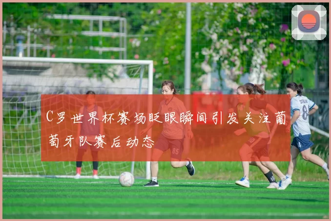 C罗世界杯赛场眨眼瞬间引发关注葡萄牙队赛后动态