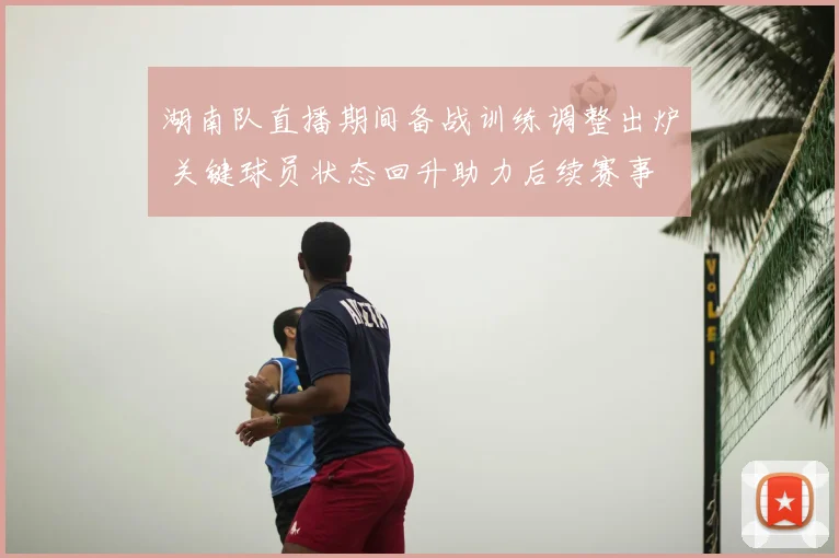 湖南队直播期间备战训练调整出炉 关键球员状态回升助力后续赛事