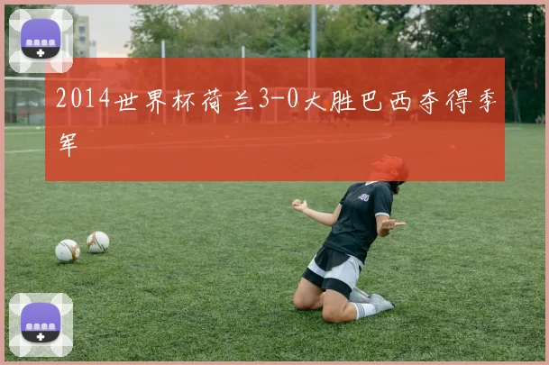 2014世界杯荷兰3-0大胜巴西夺得季军