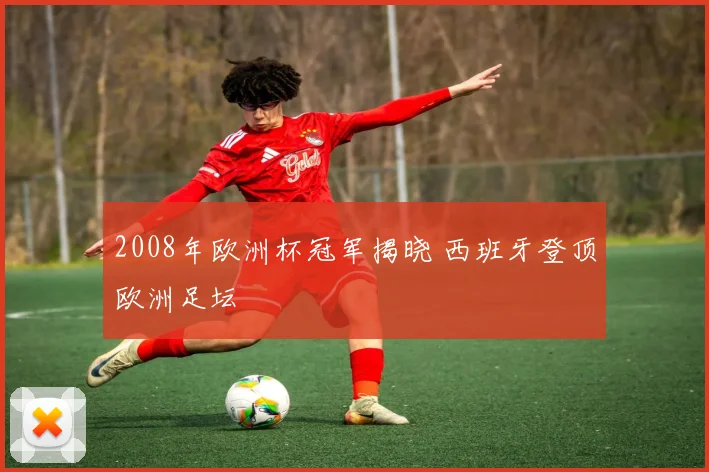 2008年欧洲杯冠军揭晓 西班牙登顶欧洲足坛