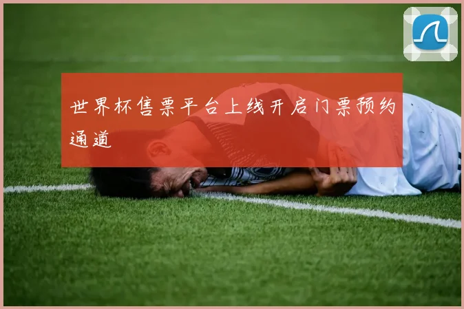 世界杯售票平台上线开启门票预约通道